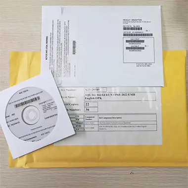 Microsoft SQL Server 2022 Standard Edition DVD Kit